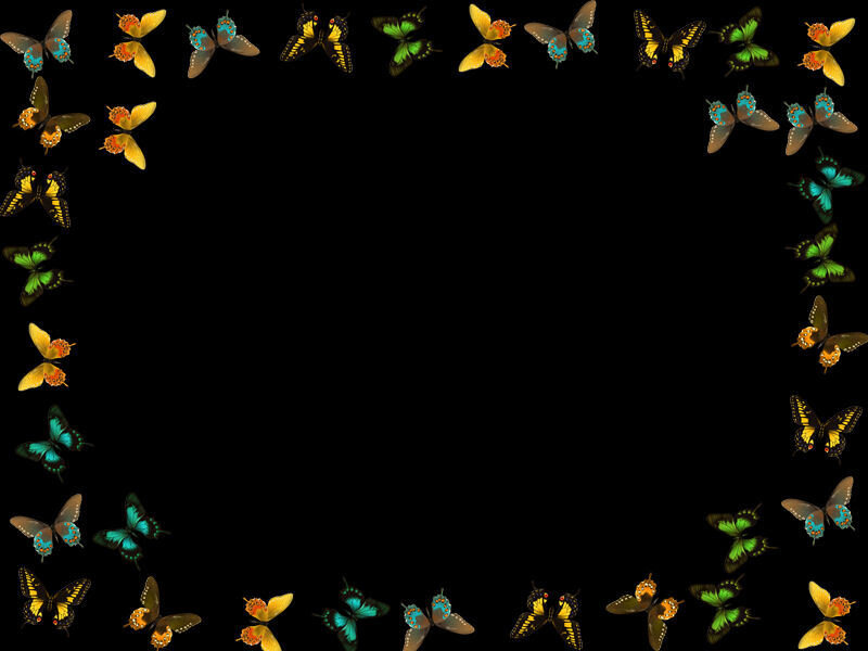butterfly border frame