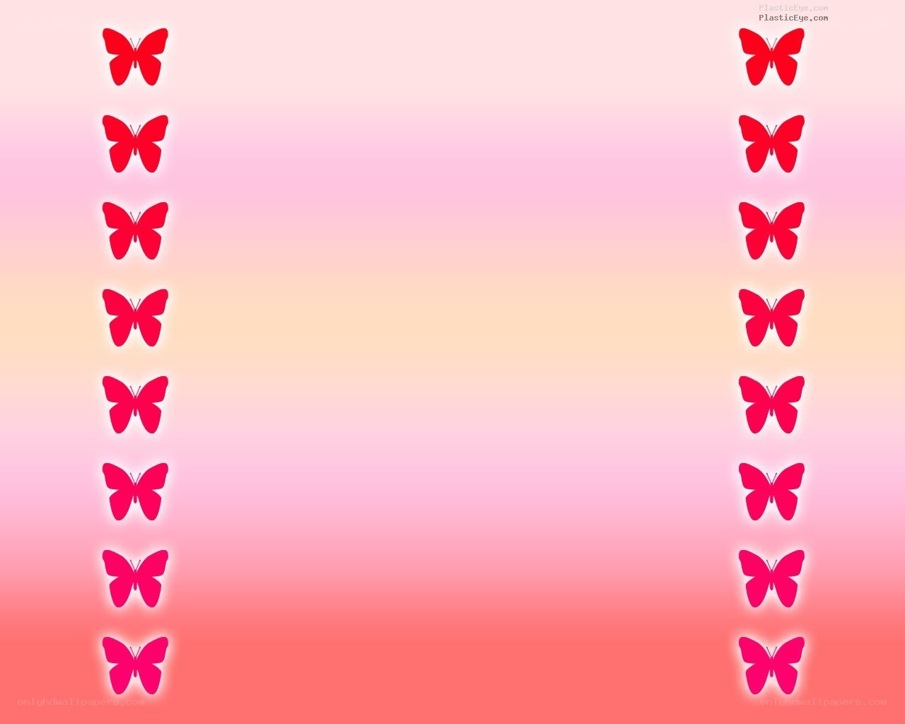 butterfly border on gradient
