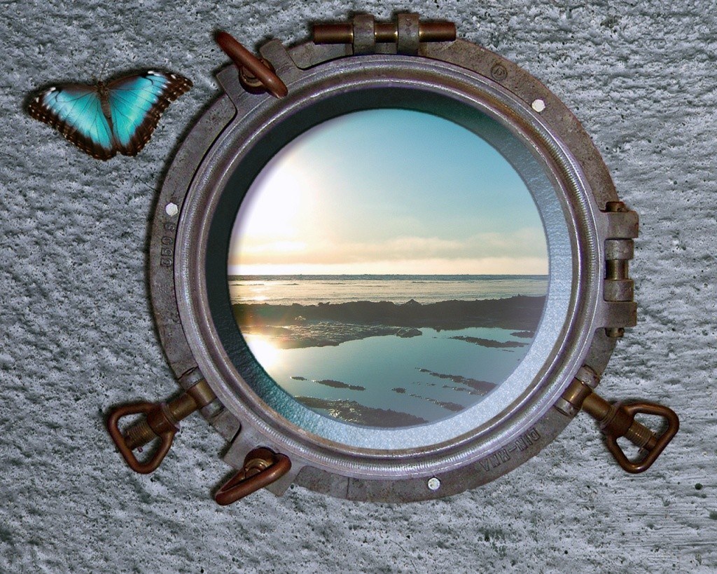 Butterfly by porthole