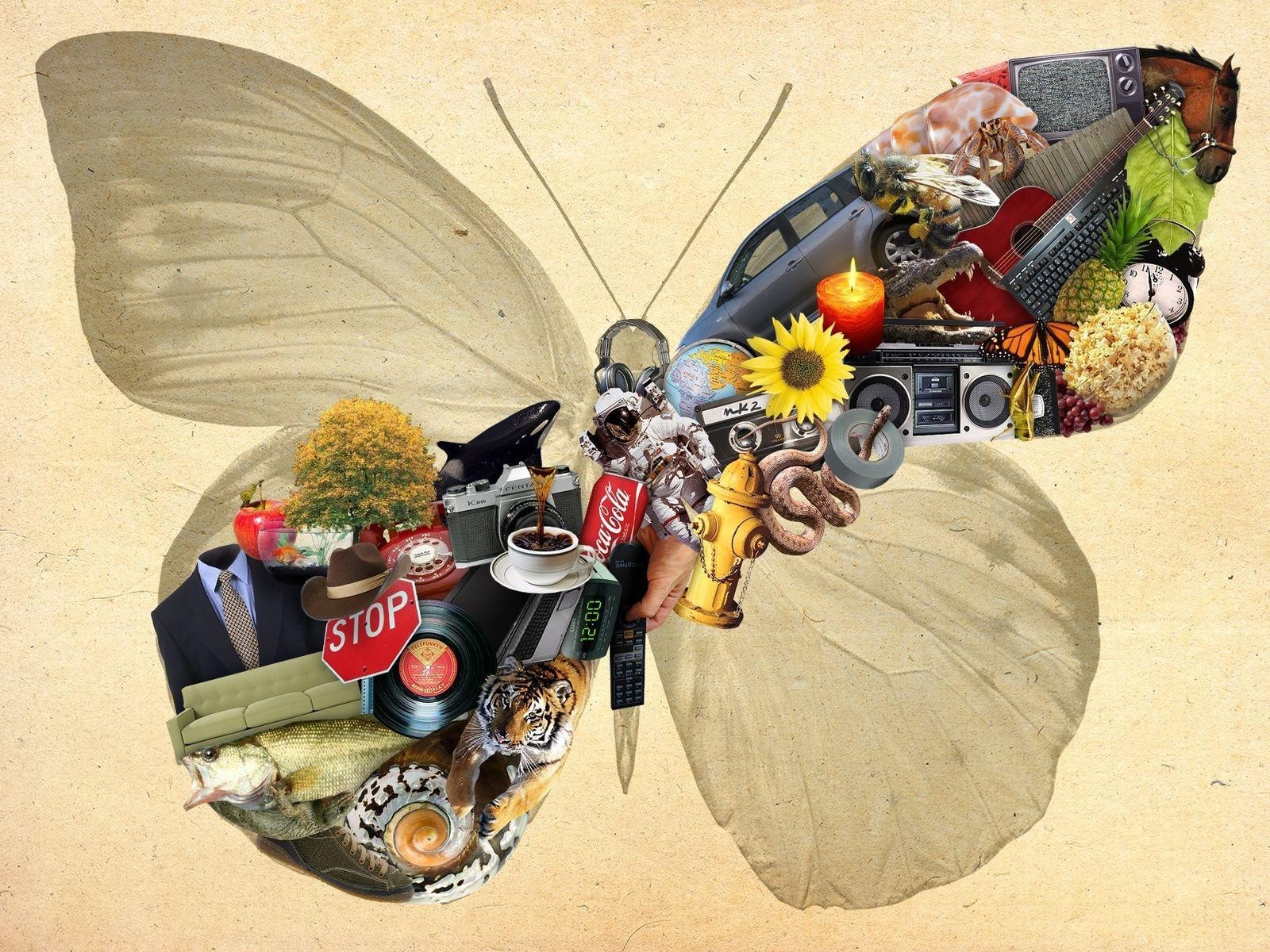 butterfly collage of objects