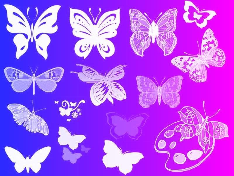 butterfly collection on gradient