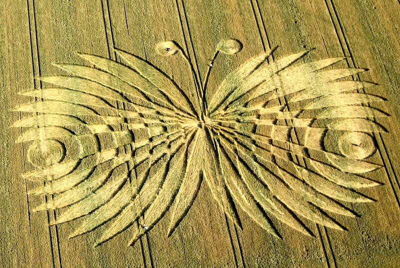 Butterfly Crop Circle