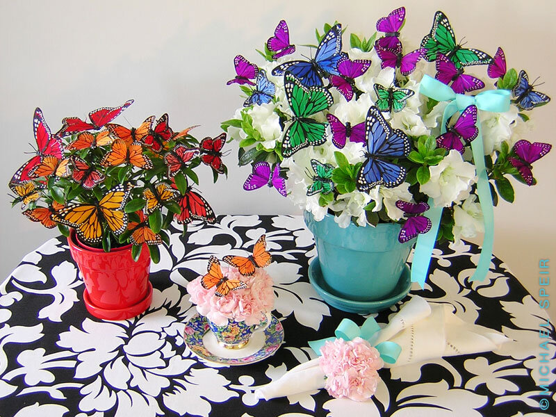 Butterfly-decorated Plants