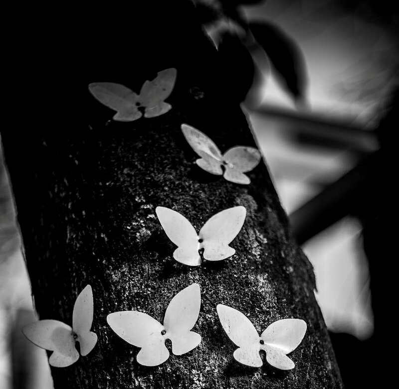 Butterfly Decorations on Tree