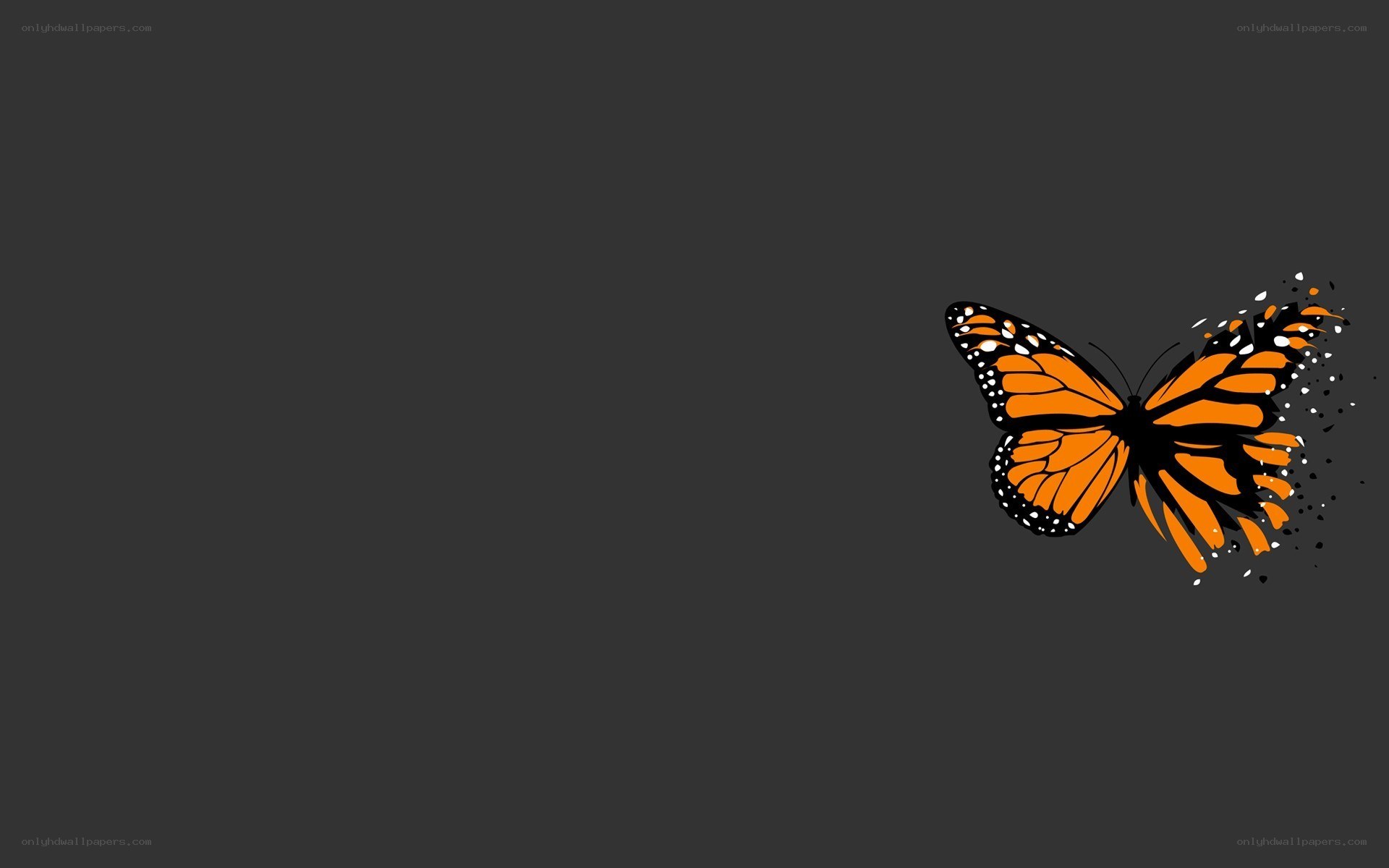 butterfly dissolving into particles