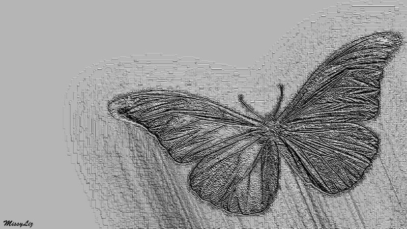 Butterfly Drawing