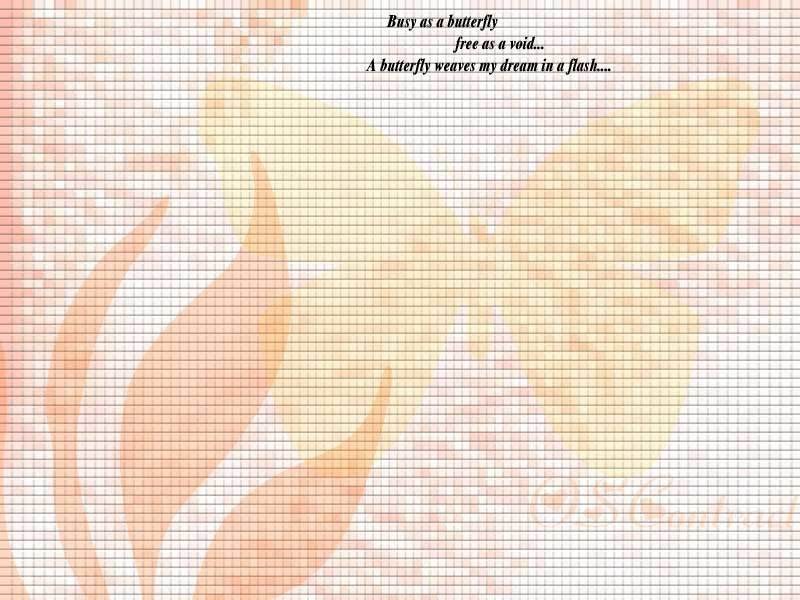 Butterfly dream pattern