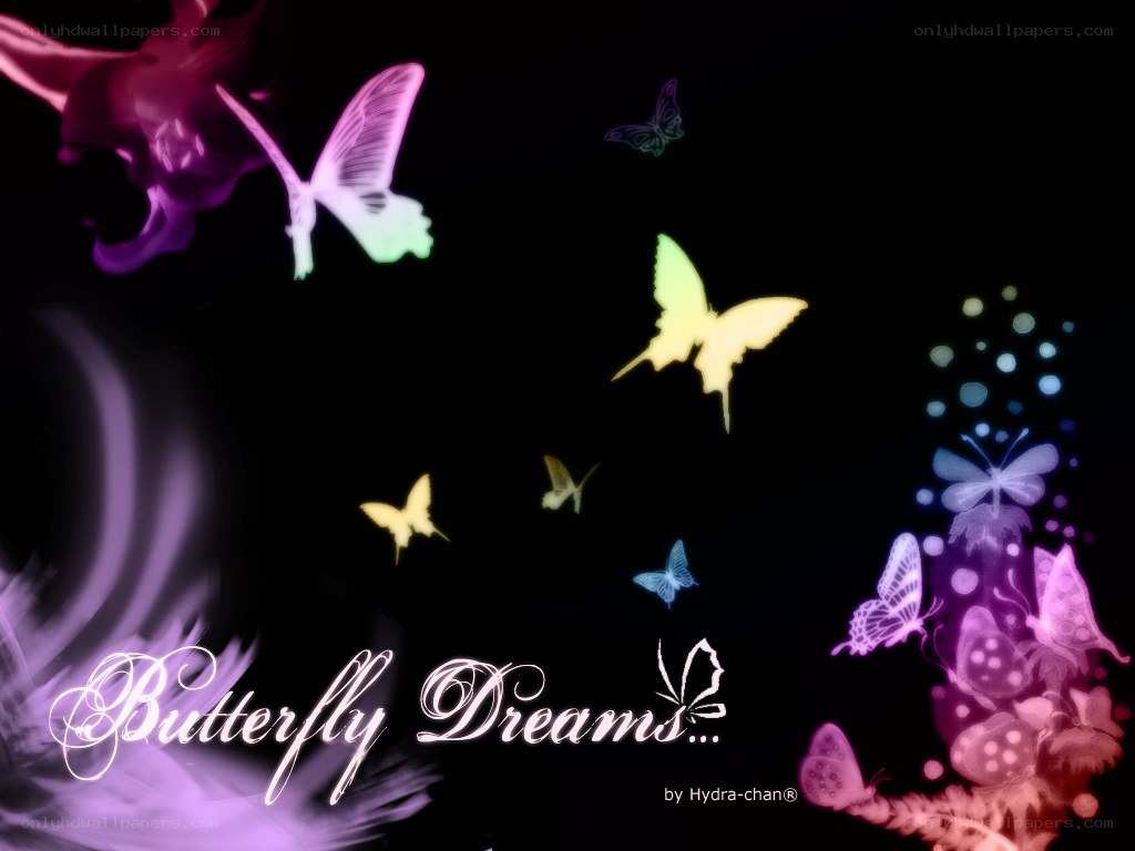 Butterfly Dreams artwork