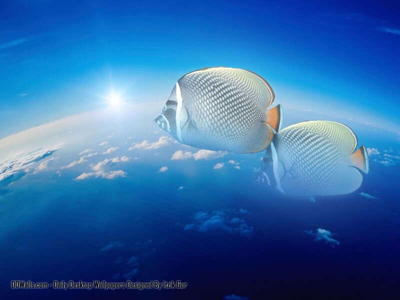 Butterfly fish in sky