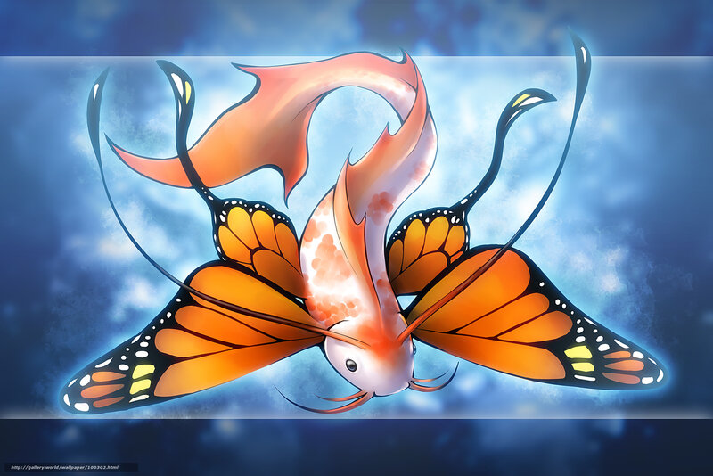 butterfly fish in sky