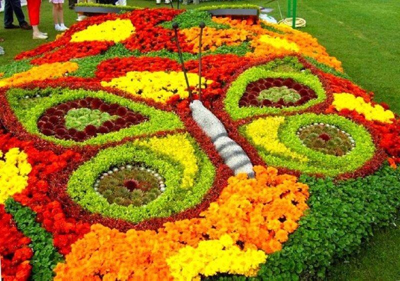 Butterfly Flower Arrangement