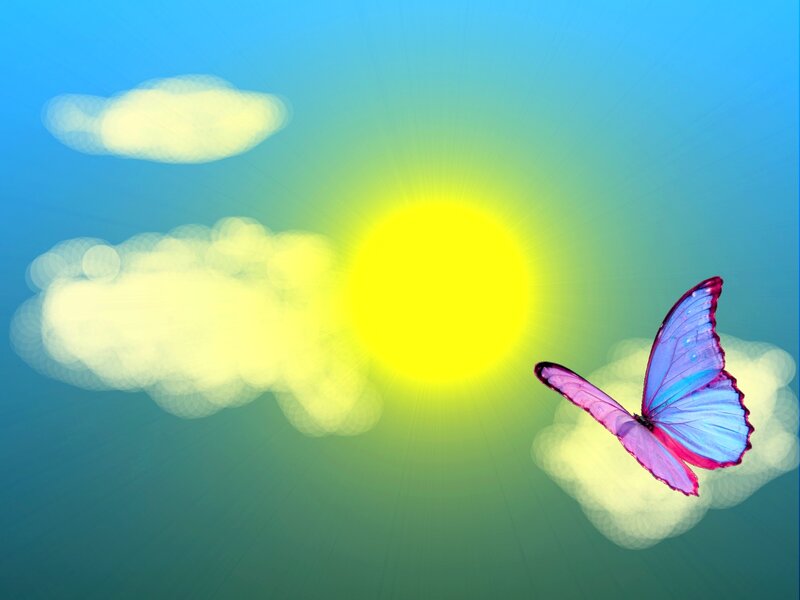 Butterfly Flying in Sky — Blue