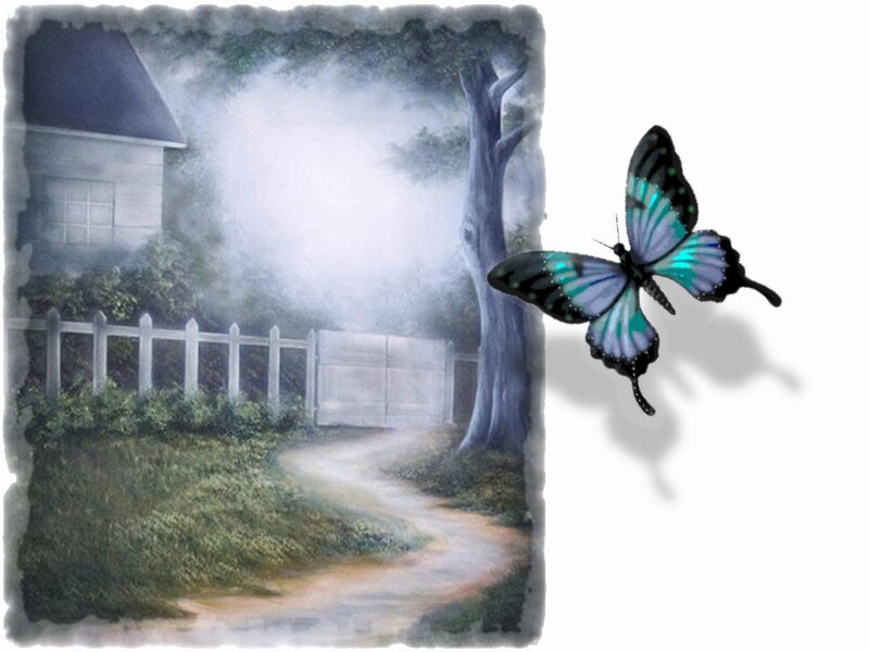 Butterfly Flying Near House