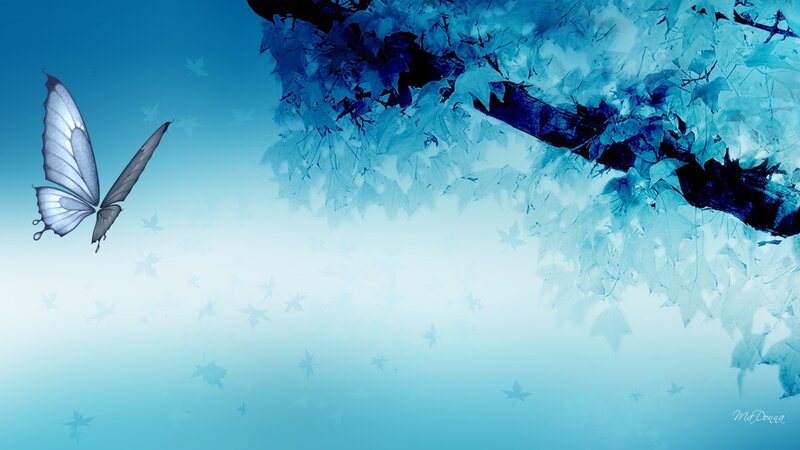 Butterfly Flying Near Tree
