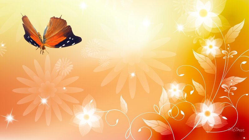 Butterfly Flying over Flowers