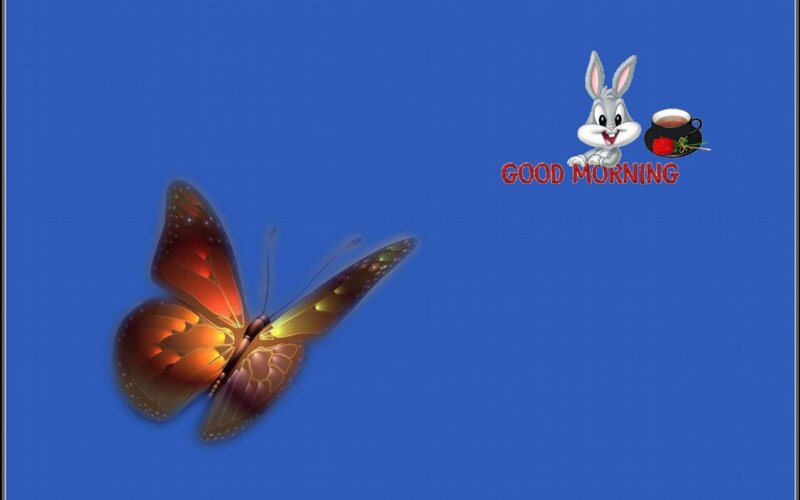Butterfly Flying