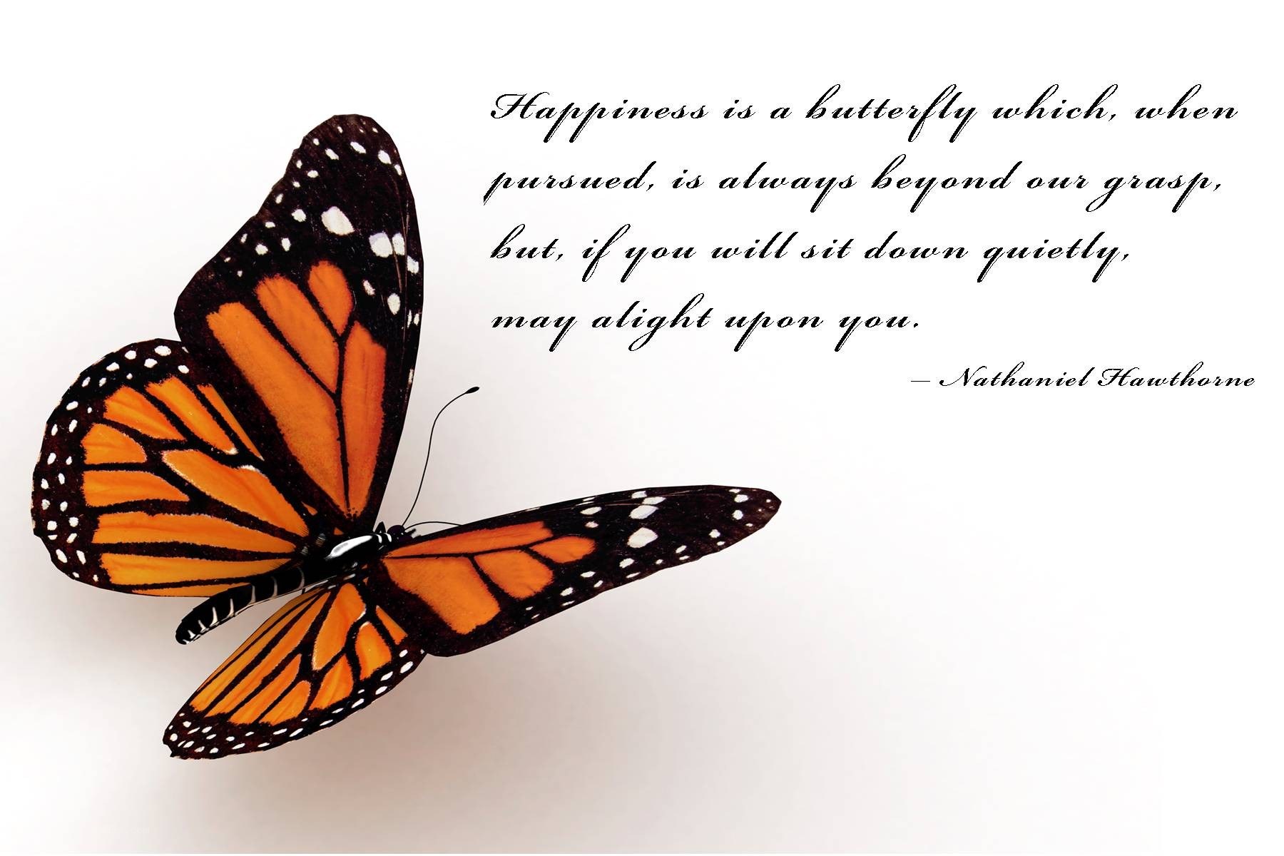 butterfly happiness quote