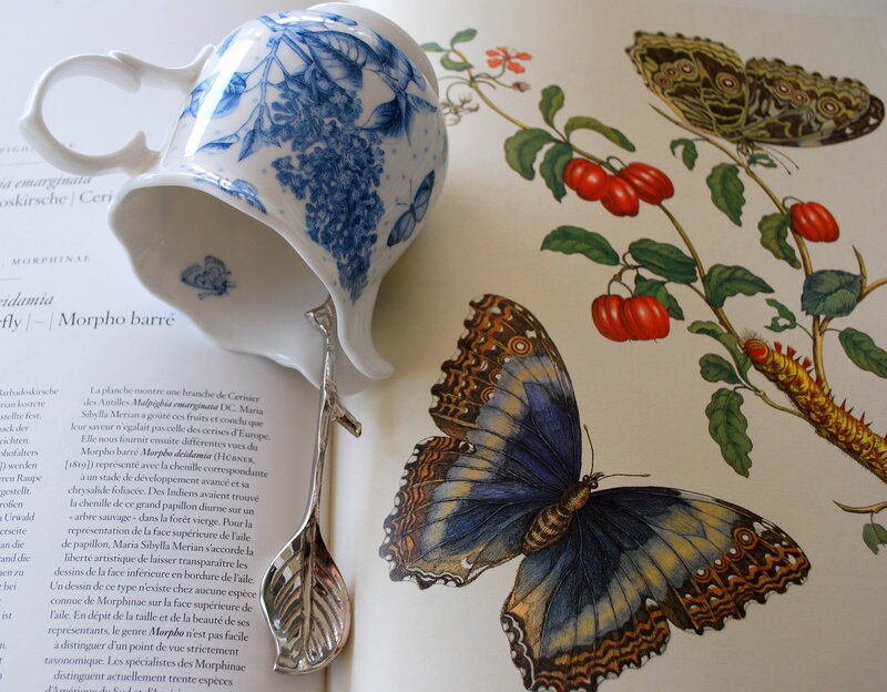 Butterfly Illustration