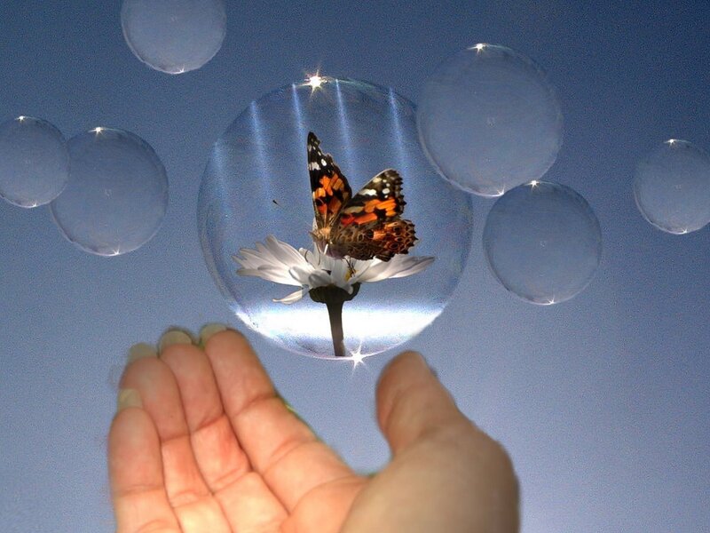 butterfly in a bubble
