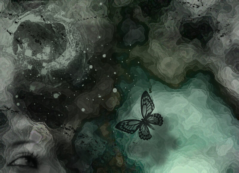 butterfly in a dream