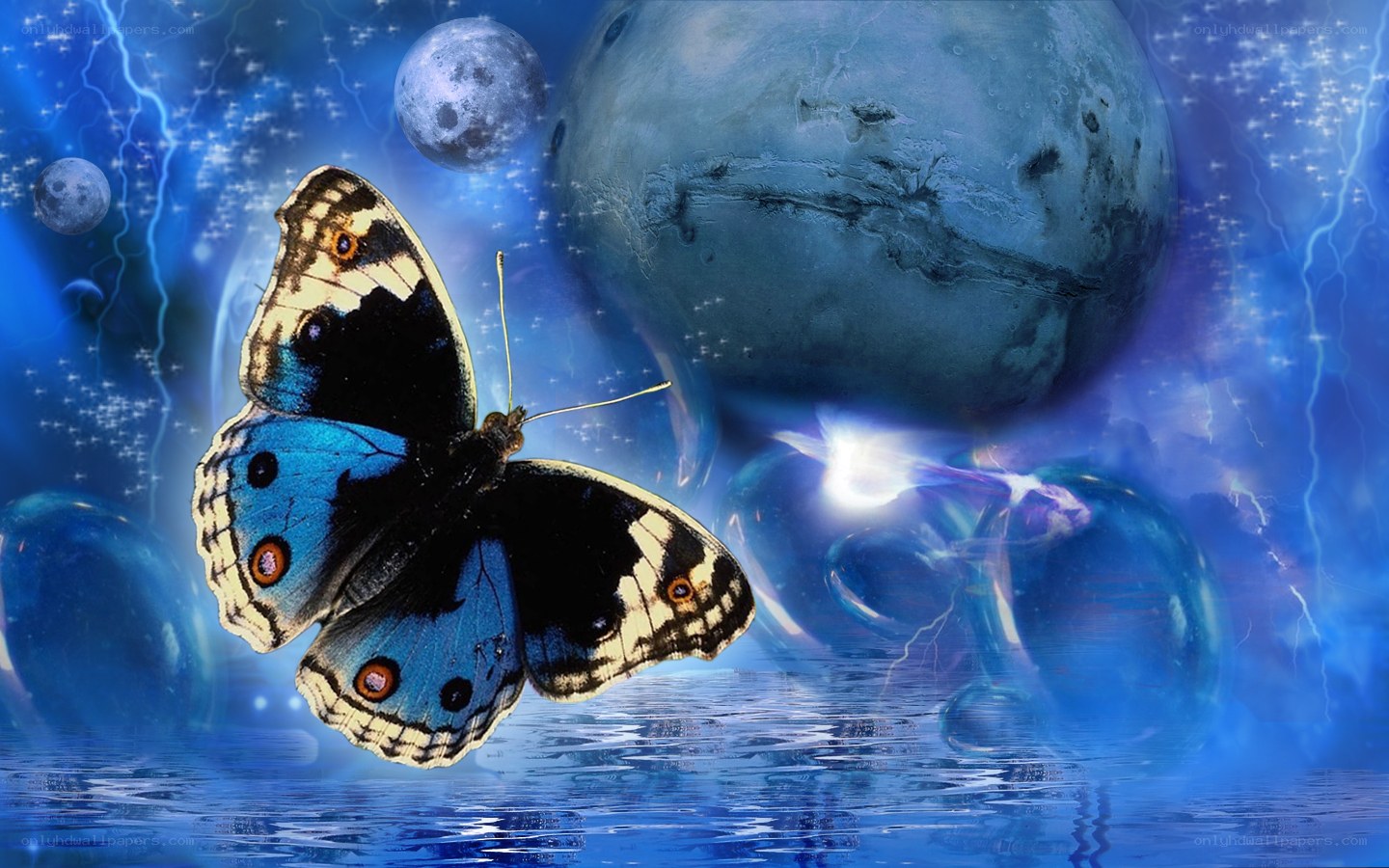 butterfly in a dream world