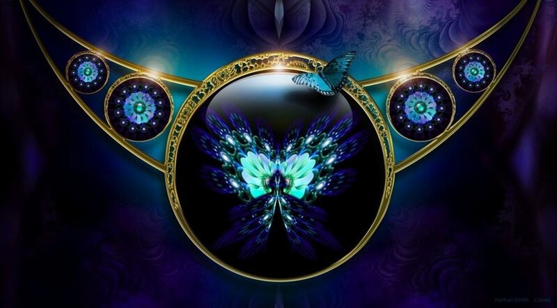 butterfly in a golden frame