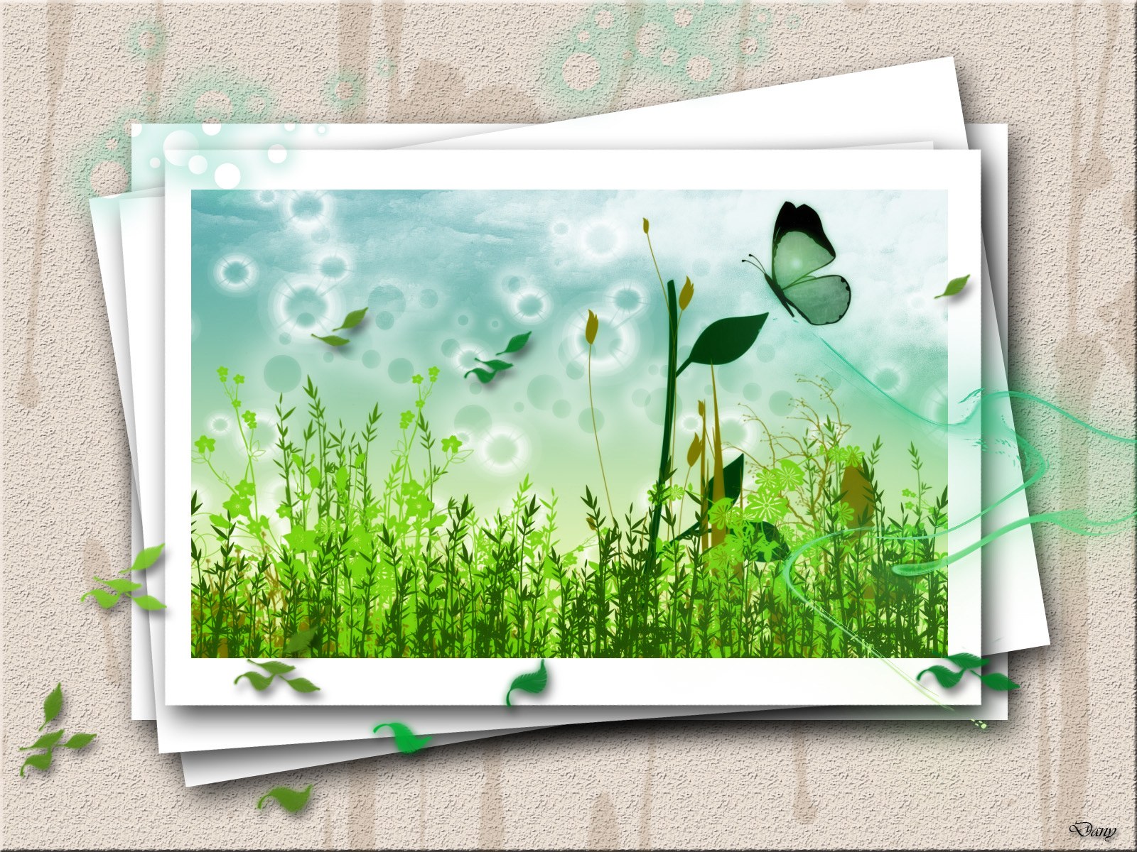 butterfly in a green meadow