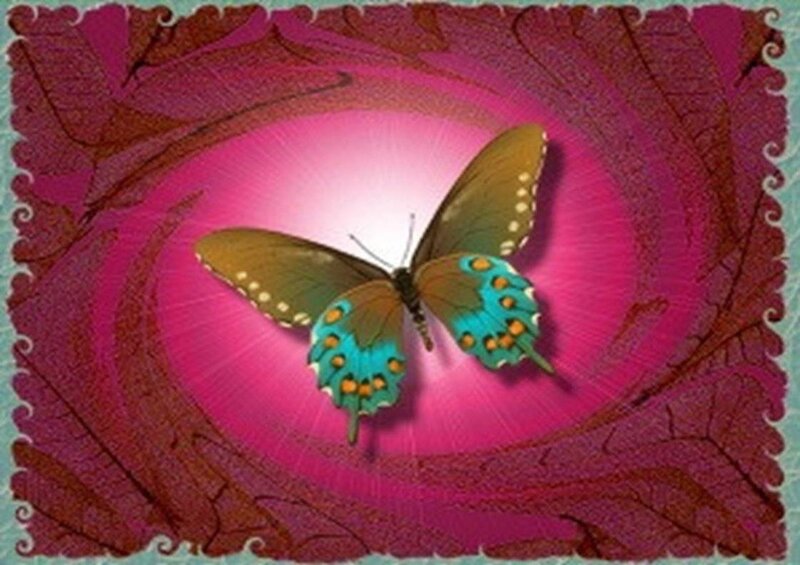butterfly in a pink vortex