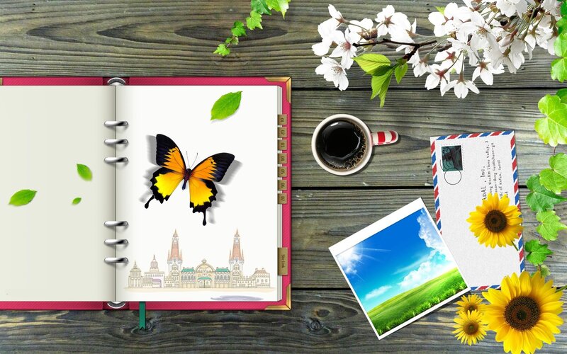 butterfly in a planner