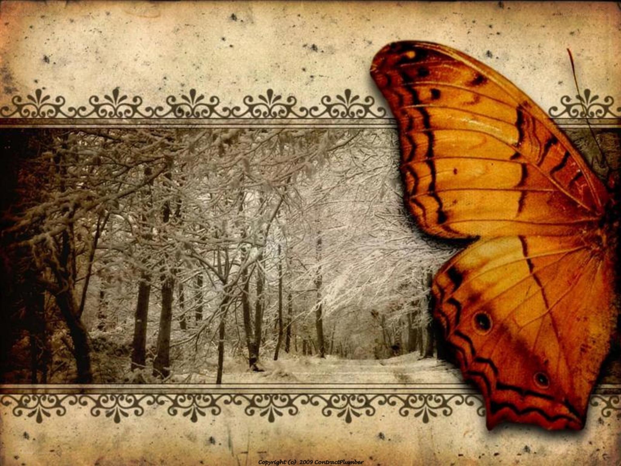 Butterfly in a snowy forest
