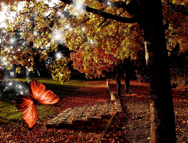 Butterfly in Autumn Park