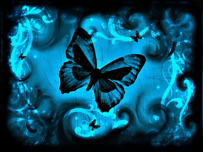 Butterfly in Blue Light