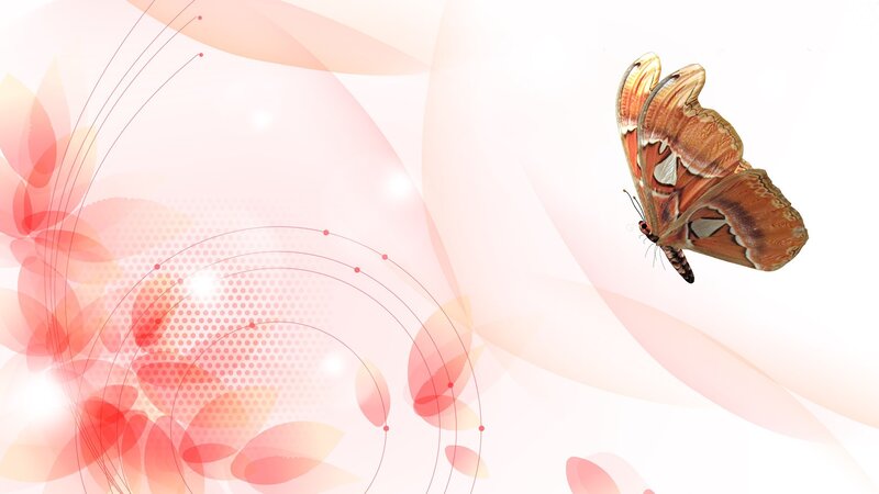 Butterfly in Flight — Pink