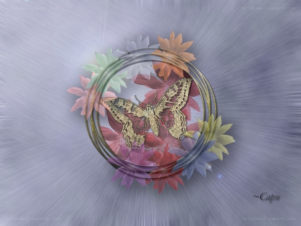 butterfly in floral circle