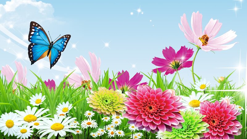 Butterfly in Flower Field — Blue