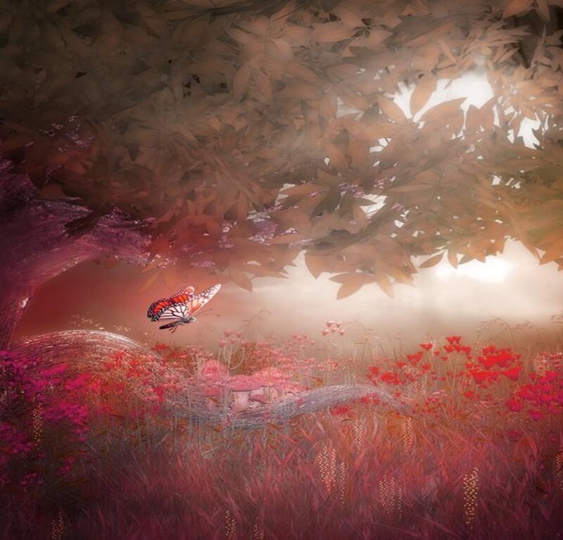 Butterfly in Flower Field — Red