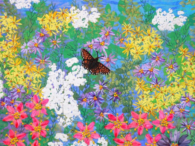 Butterfly in Flower Field