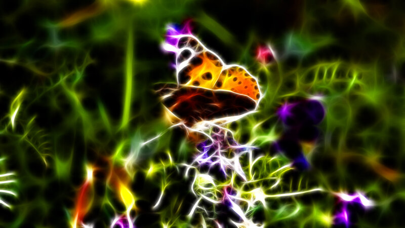 Butterfly in Foliage