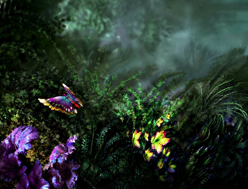 Butterfly in Forest