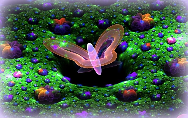 Butterfly in Fractal Landscape