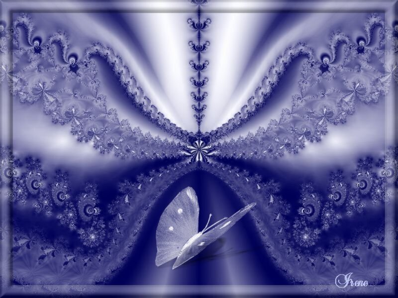 Butterfly in Fractal Pattern