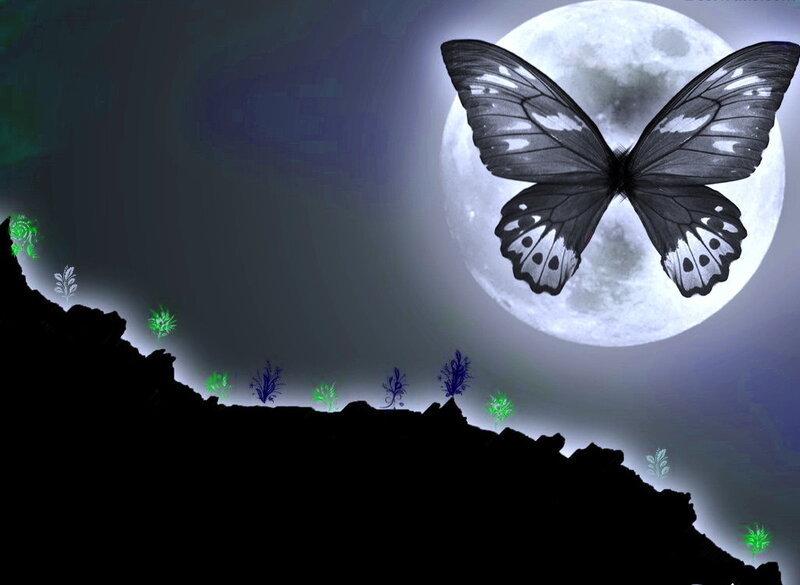 Butterfly in Front of Moon