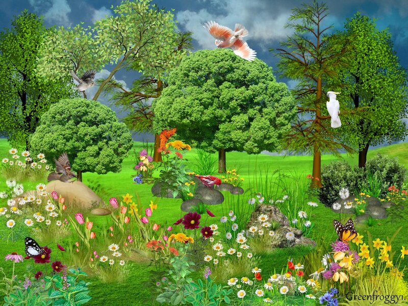 Butterfly in Garden — Green, Serene
