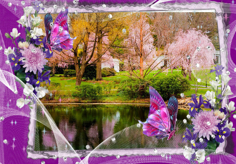 Butterfly in Garden — Purple