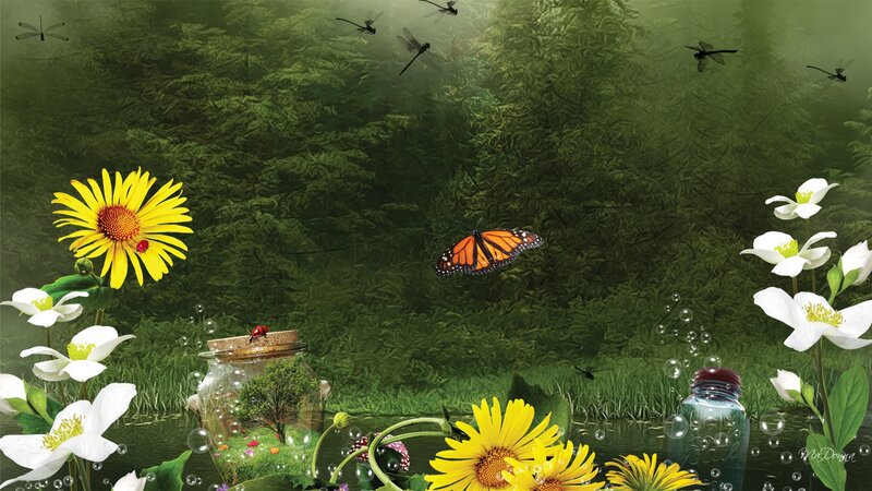 Butterfly in Garden