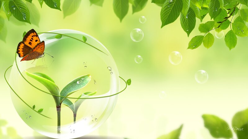 Butterfly in Glass Bubble