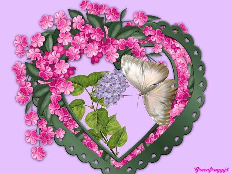 Butterfly in Heart Frame — Pink