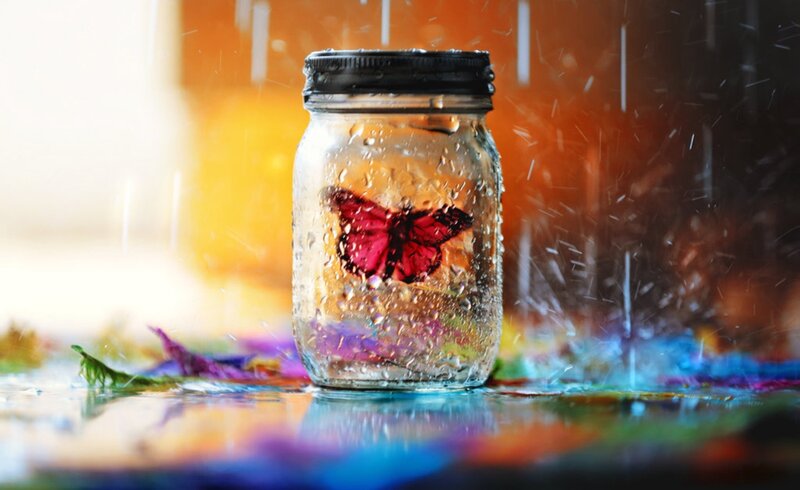 Butterfly in Jar
