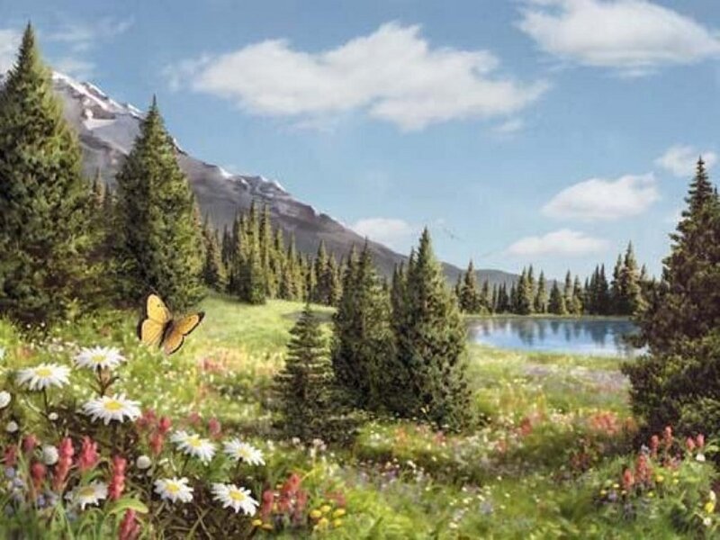 Butterfly in Meadow — Green, Serene, Summer