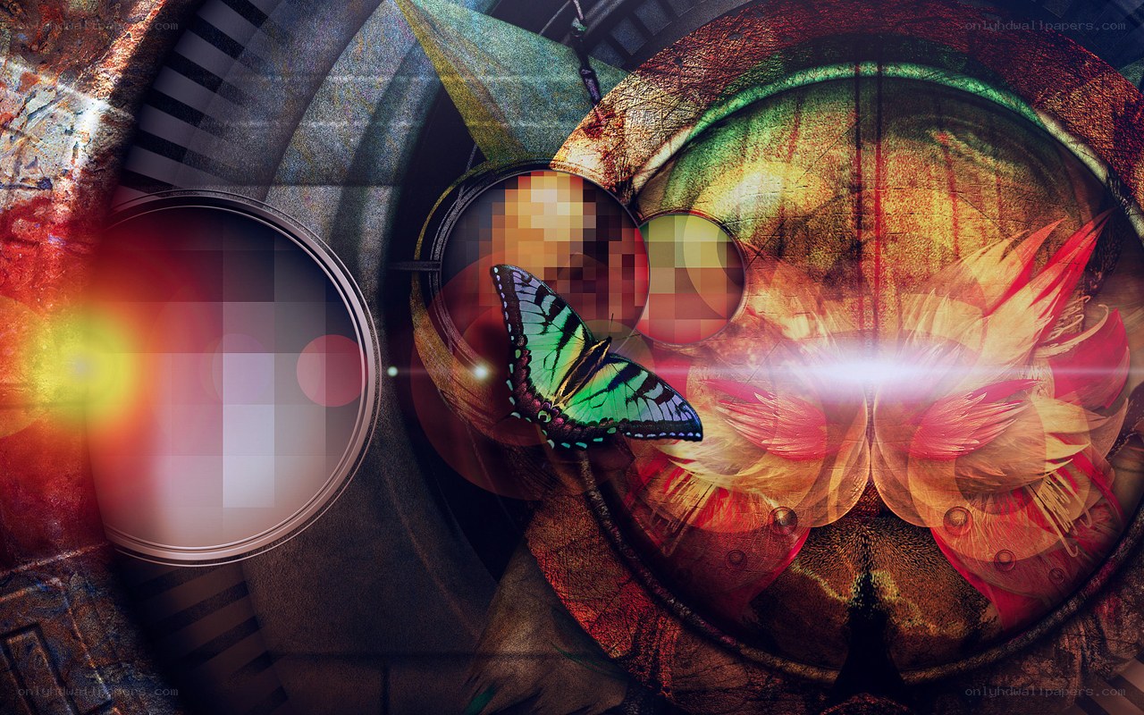 butterfly in mechanical world